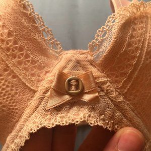 Powder Pink Chantelle Bra 30DDDD